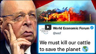 WEF Orders US Gov’t To Forcibly Seize Farms by 2025 and Burn Millions of Cattle