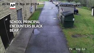 West Virginia school principal encounters black bear