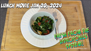 Lunch Movie 01/20/2024