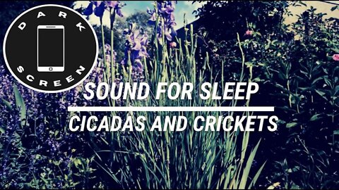 Sound for sleep Cicadas and Crickets on Dark Screen