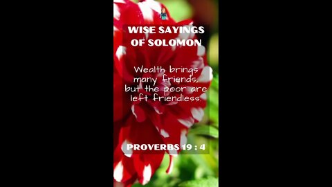 Proverbs 19:4 | NRSV Bible - Wise Sayings of Solomon