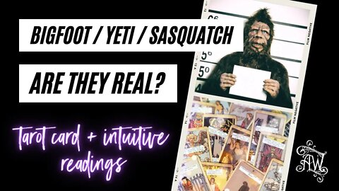 Bigfoot, Sasquatch, Yeti - Are They Real? Tarot Card Reading