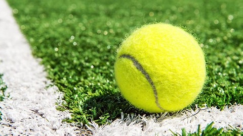 Internet Can't Decide if Color of Tennis Ball is Yellow or Green. What Do You Think?