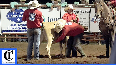 Wild Cow Milking - 2021 Motley / Dickens Old Settlers Rodeo | Saturday