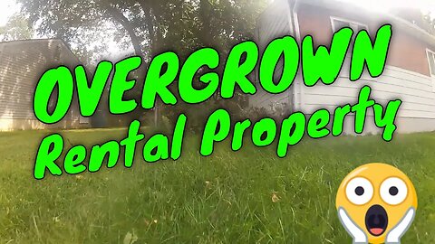 Mowing Tall Overgrown Grass at a Rental Property