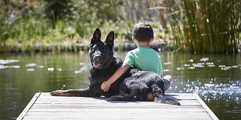 This Dog Risked His Life to save His Girl..Real Hero !