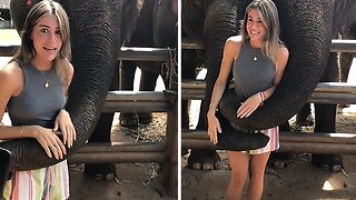 Woman Gets Totally Slammed By Elephants While Trying To Take A Cute Photo