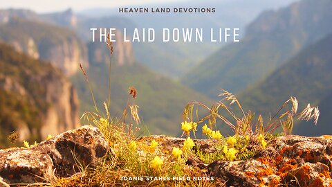 Heaven Land Devotions - The Laid Down Life