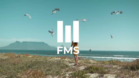 FMS - Relaxing seagull sounds #005 (8h)