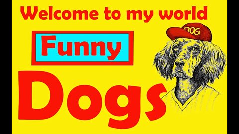 Non control laugh Funny dogs dogs of tiktok #Petsandwild #dogs #puppies