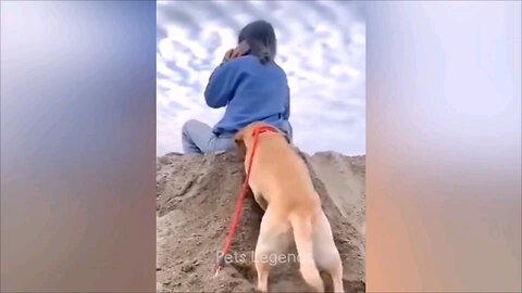 Funny videos compilation 🤣🤣🤣🤣