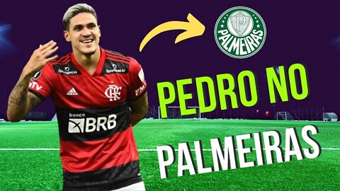 PEDRO NOVO CAMISA 9 DO PALMEIRAS