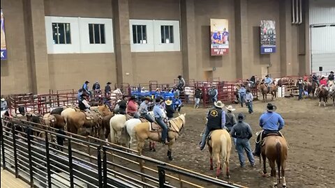 Calf roping