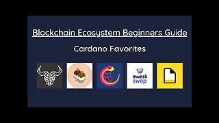 Beginners Guide To The Blockchain - Cardano Ecosystem Part 1