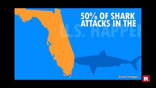 Why are shark attacks on the rise? | Rare News