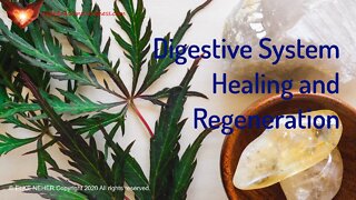 Digestive System Healing and Regeneration - Supportive Energetic/Frequency Healing Meditation Music