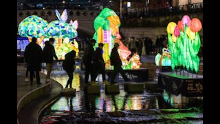 Seoul Lantern Festival Charms Guests