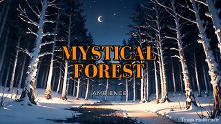 Immerse Yourself in the Spellbinding Wonders of the Mystical Forest | Night Forest Sounds