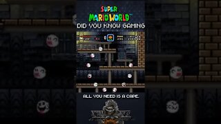 Did You Know Gaming - SMW - Kill Big Boo