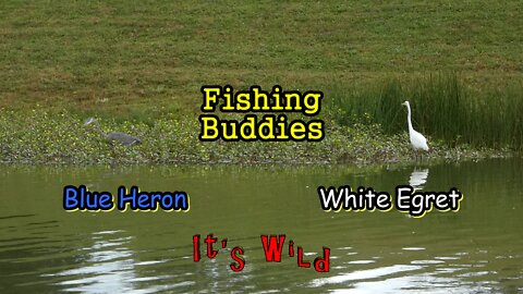 Fishing Buddies