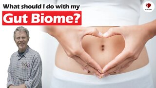 Q & A: The Gut Biome