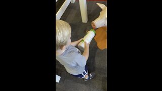 Toddler Feeds Animals At The Children’s Museum