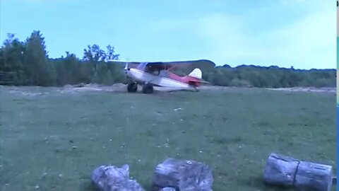 Upper Pasture Plane Runway in Action filmed from Apple Orchard Pasture Gate... then peace & quiet.