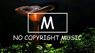 Ehrling - Dance With Me（Mm No Copyright Music）