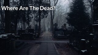 Where Are The Dead?