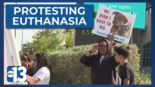 Advocates rally at The Animal Foundation for organization to stop euthanasia
