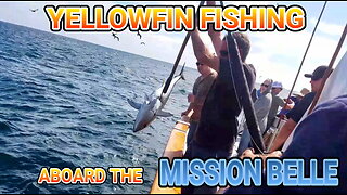 (30) 08/19/2016 - Yellowfin tuna fishing aboard the MISSION BELLE