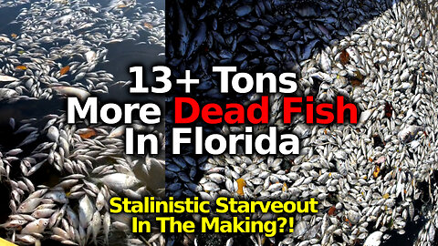 Massive Fish Kill: 13+ Tons Of Dead Fish In Florida, Indiana & Michigan. Are We Being Genocided?
