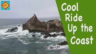 Cool Ride up the California Coast//EP 4 Seeking the Winter Sun in our Converted ProMaster Van 136
