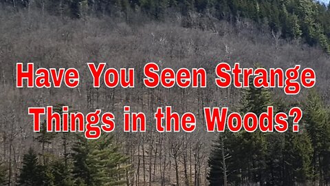 Have you seen Strange and Unusual Things in the Adirondack Mountains?