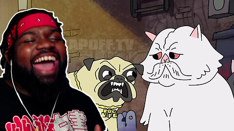These House Pets Going Crazy! Dog vs Cat Rap Battle | Rap Off @illmacTV REACTION