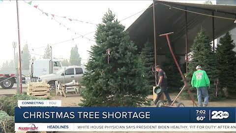 How the national Christmas tree shortage affects Bakersfield