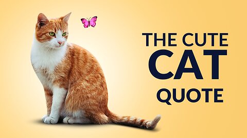 The Cute Cat Quote