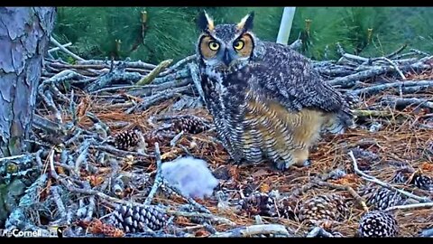 Mom's PM Leave & Return-Cam One 🦉 2/26/22 17:37