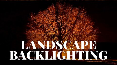 Landscape Backlighting • General Overview • Free Landscape Lighting Course