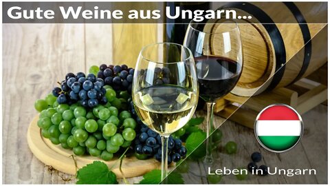 Weinanbaugebiete in Ungarn - Leben in Ungarn