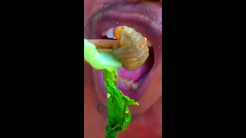 You Want to Eat a Caterpillar, do you? so delicious......