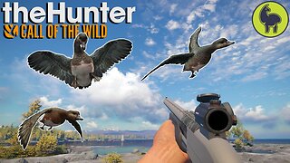 Not Quite Pigeons, Hunt Club Beta | theHunter: Call of the Wild (PS5 4K 60FPS)