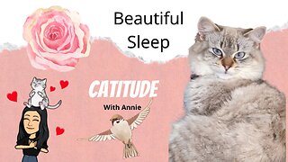 Beauty Sleep - with Annie