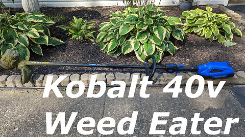 Kobalt 40v Weed Eater Review