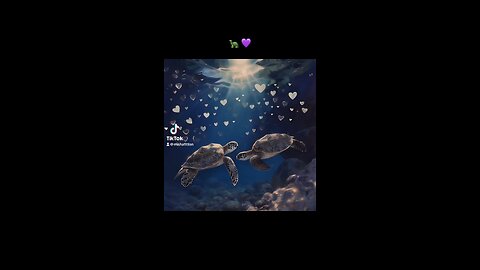 Turtle Island Art ‘Sea of Love’