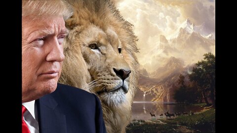 💥 🦁 The Lion is Ready ~ EPIC!