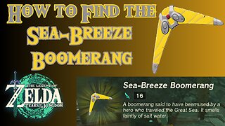 How to Find the Sea-Breeze Boomerang in The Legend of Zelda: Tears of the Kingdom!!! #totk