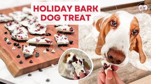 No-bake Holiday Bark for Dogs