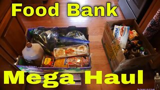 40LB Mega Food Pantry Haul TONS AND TONS OF STRAWBERRIES WOW YUMMY!