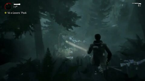 ALAN WAKE #5